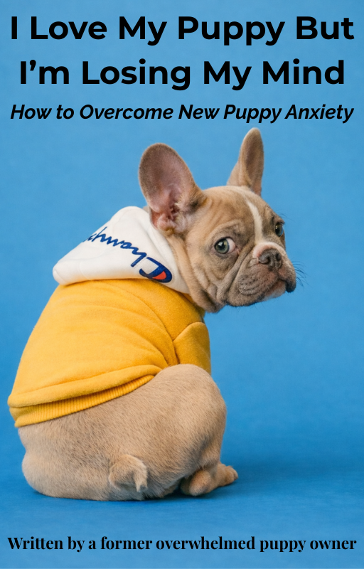 How to Overcome New Puppy Anxiety